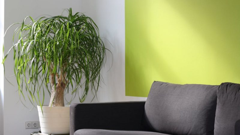 Отзывы о приточных бризерах в Одинцово